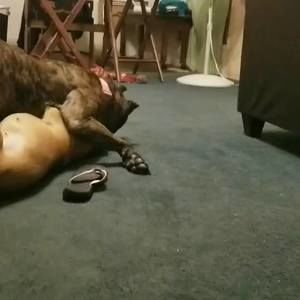 Meet your Posher, Terry